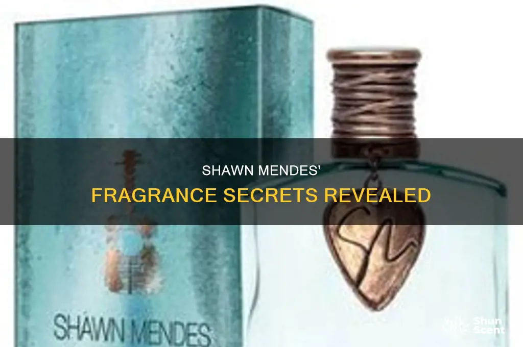 what is in the shawn mendes perfume