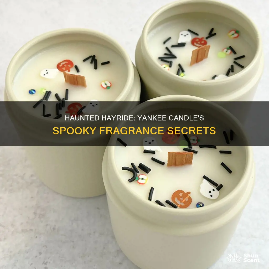 what is in the yankee candle haunted hayride fragrance