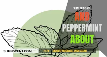 Incense and Peppermint: A Cultural Revolution