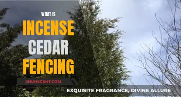 The Beauty of Incense Cedar Fencing