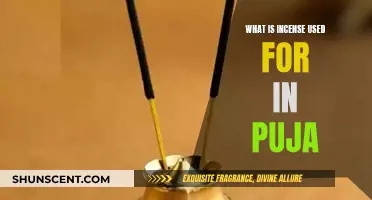 Incense in Puja: Spiritual Significance and Uses