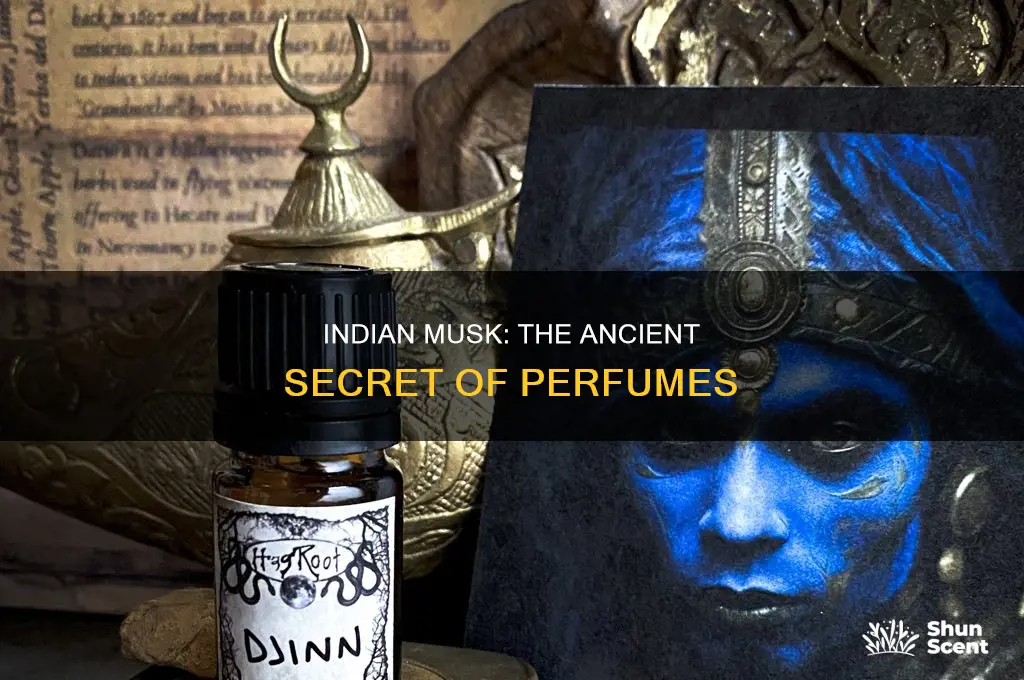 what is indian musk used in perfume