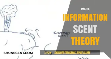 Understanding Information Scent Theory: Enhancing User Navigation and Web Design