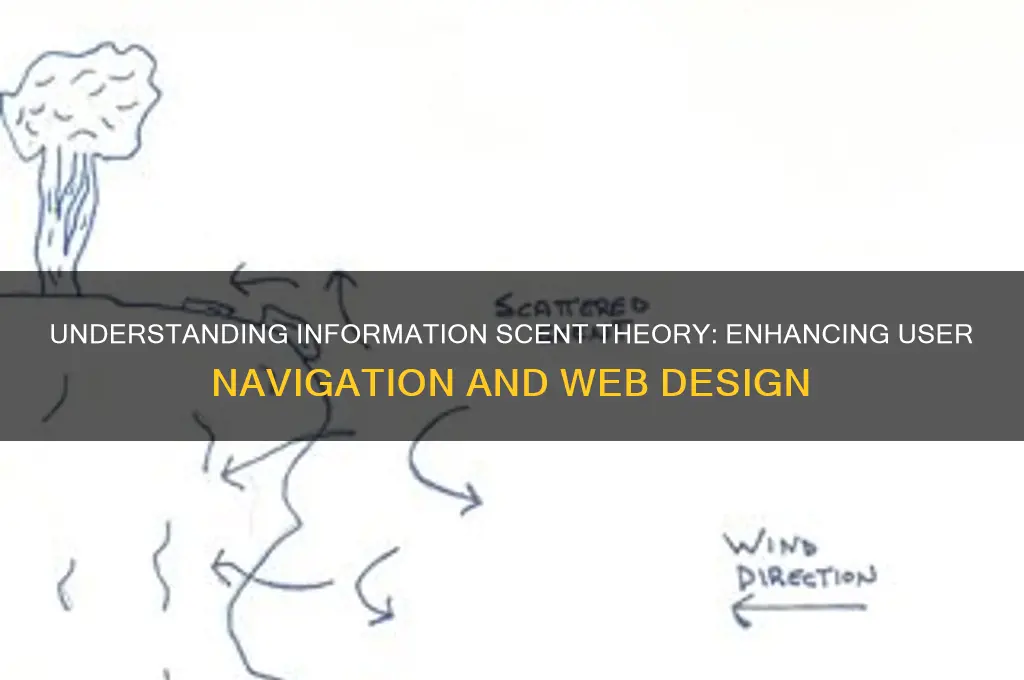 what is information scent theory