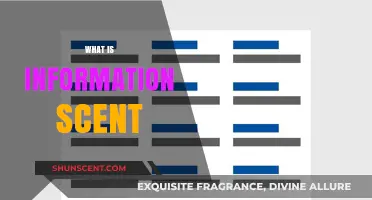 Understanding Information Scent: How Users Navigate Digital Content Effectively