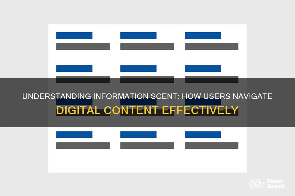 what is information scent