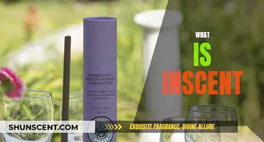 The Power of Scent: Understanding the World of Inscent