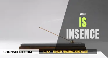 The Many Uses of Incense: Fragrance and Beyond
