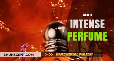 The Power of Intense Perfumes: A Guide