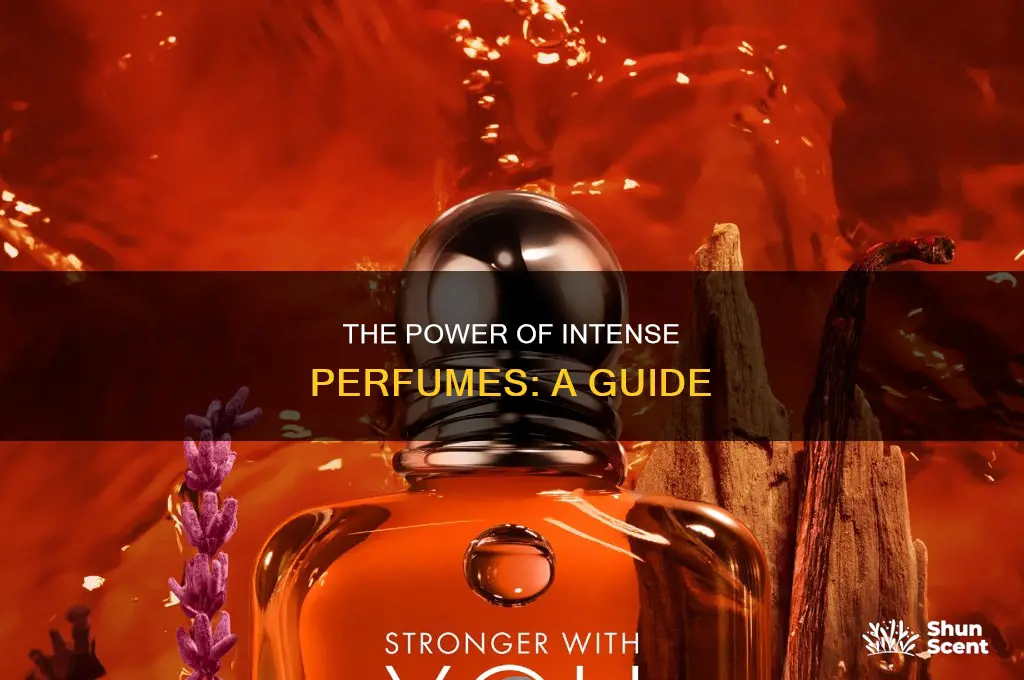 what is intense perfume