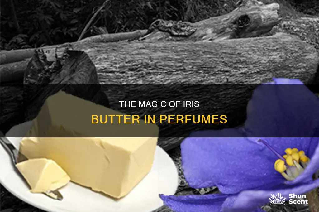 what is iris butter in making perfume