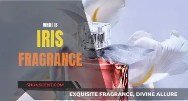 The Alluring Iris: A Fragrance Exploration