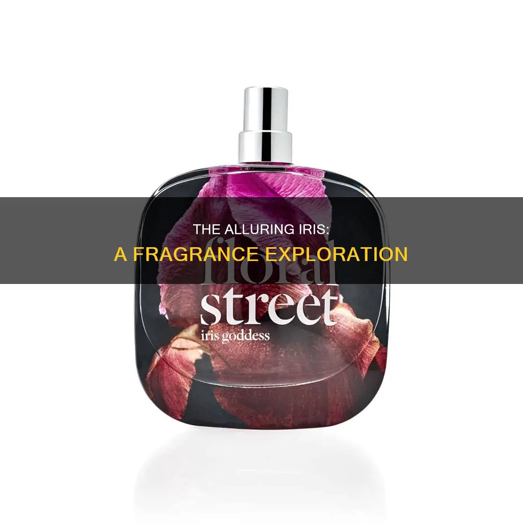 what is iris fragrance