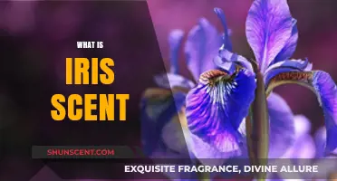 Unveiling the Mystique: Understanding the Unique Iris Scent