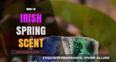 Exploring the Fresh, Invigorating Aroma of Irish Spring Soap Scent