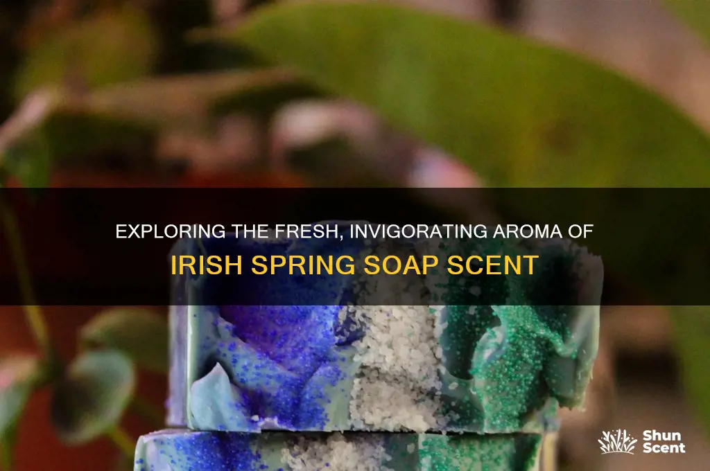 what is irish spring scent