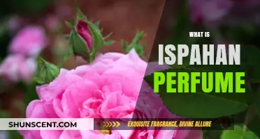 The Ispahan Scent: A Fragrant Persian Rose