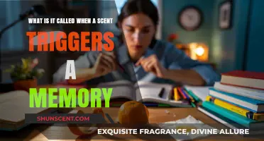 Scent-Triggered Memories: Unlocking the Power of Olfactory Recall
