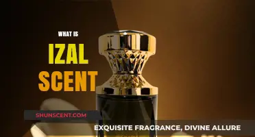 Exploring the Unique and Refreshing Aroma of Izal Scent