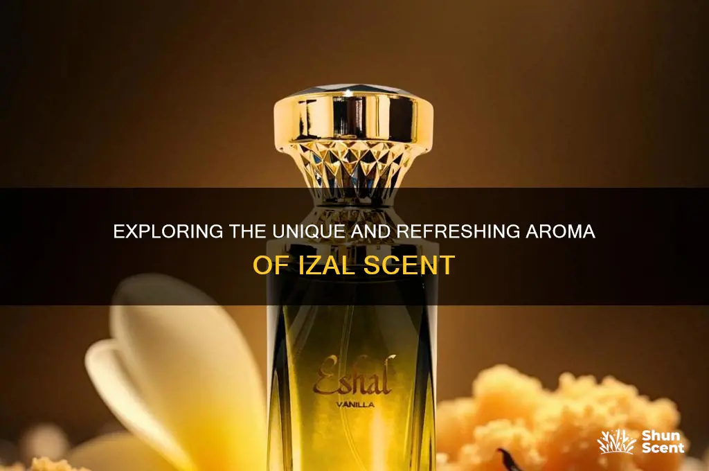 what is izal scent