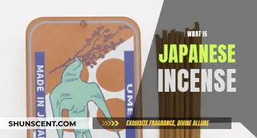 Incense 101: Japanese Scents and Traditions