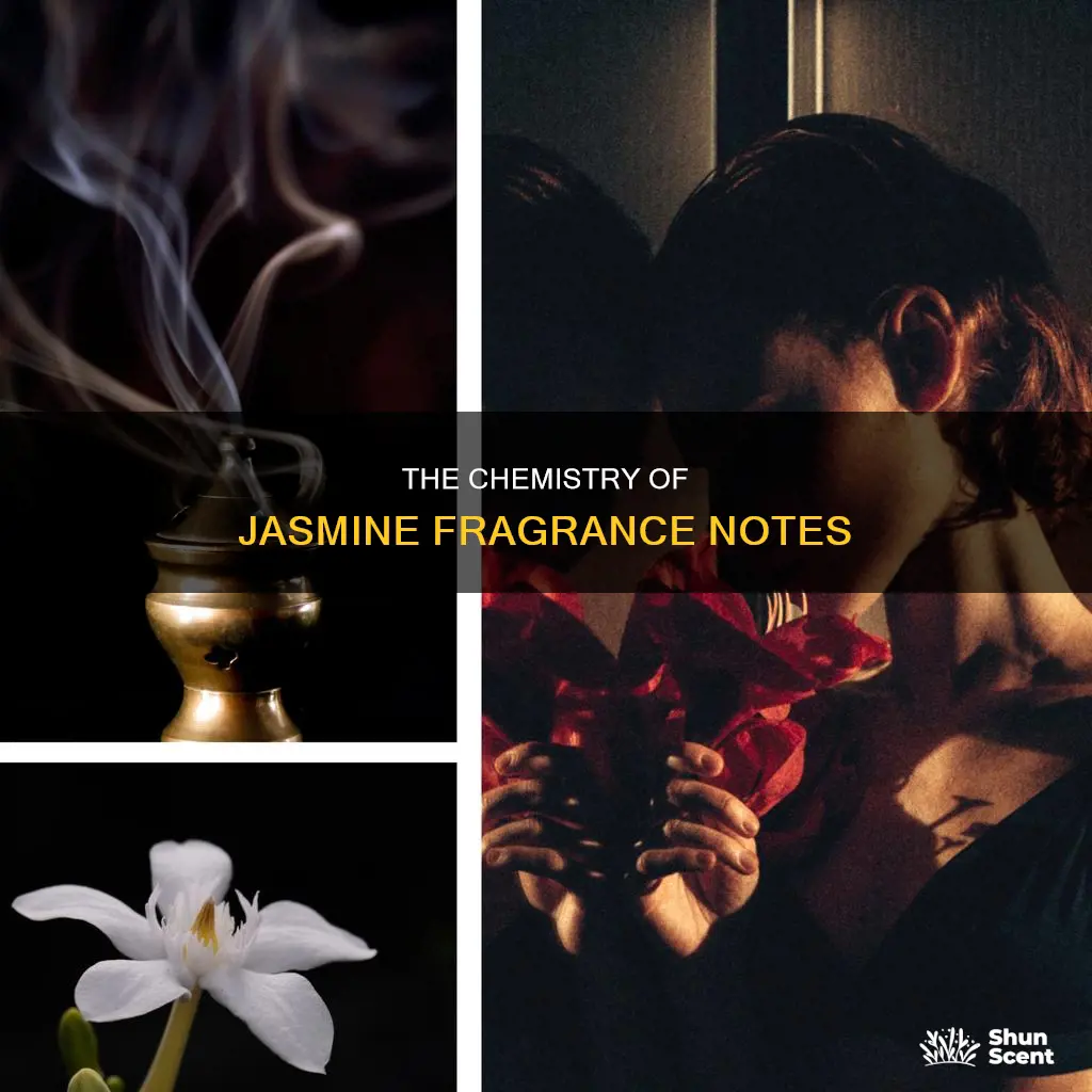 what is jasmine fragrance made of
