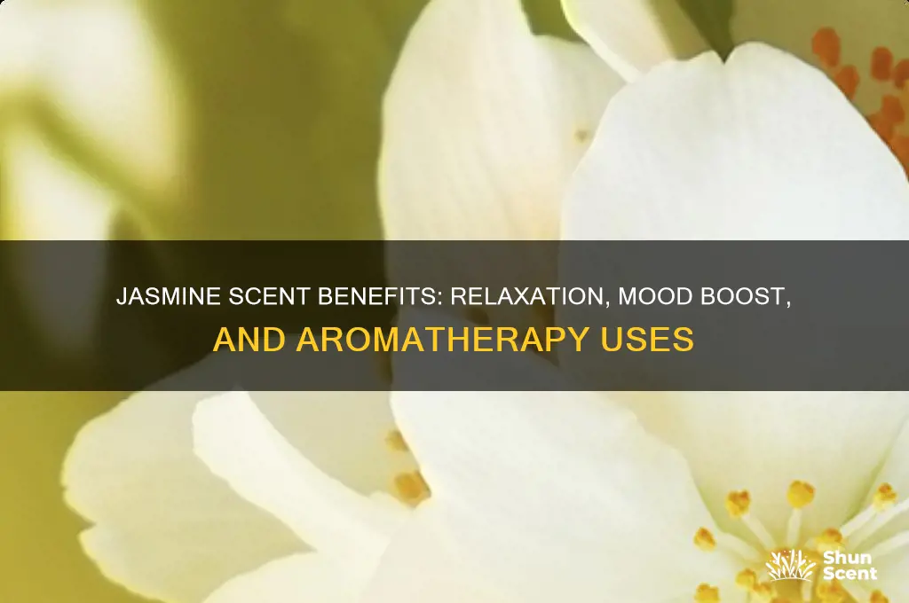what is jasmine scent good for