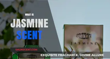 Exploring the Alluring and Timeless Fragrance of Jasmine Scent