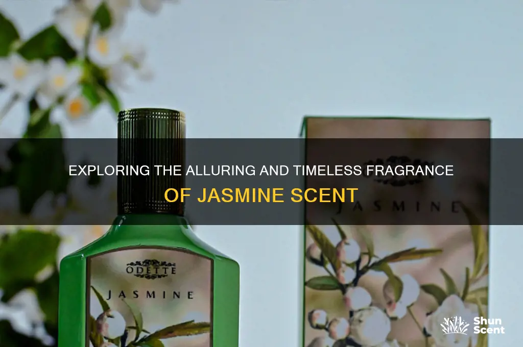what is jasmine scent