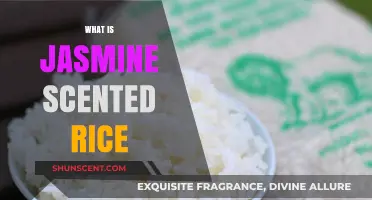 Discover the Aroma and Flavor of Jasmine Scented Rice