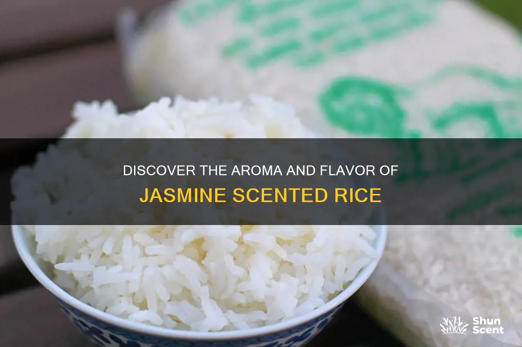 what is jasmine scented rice