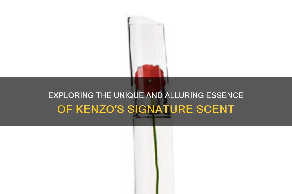 what is kenzo scent