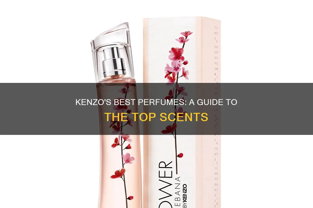 what is kenzo