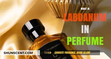 The Rich, Resinous Power of Labdanum in Perfumes