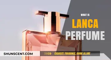 The Alluring World of Lancã Perfume