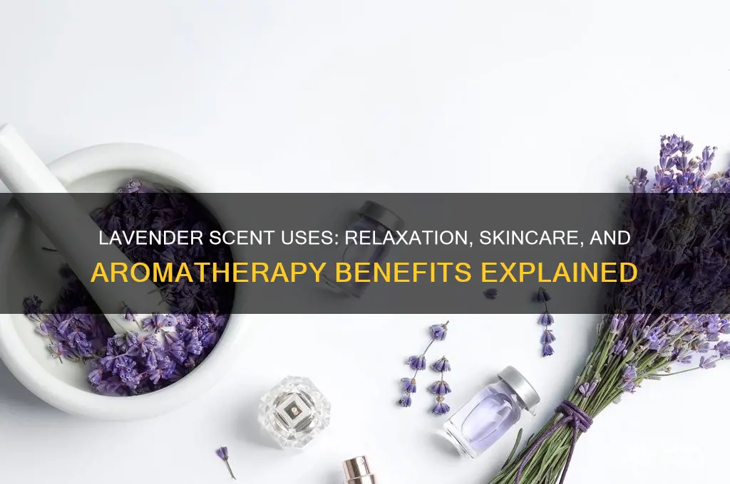 what is lavadendar scent used for