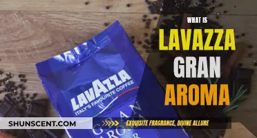 The Smooth Lavazza Gran Aroma: A Coffee Connoisseur's Review