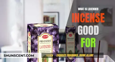Lavender Incense: Benefits and Uses for Mind and Body