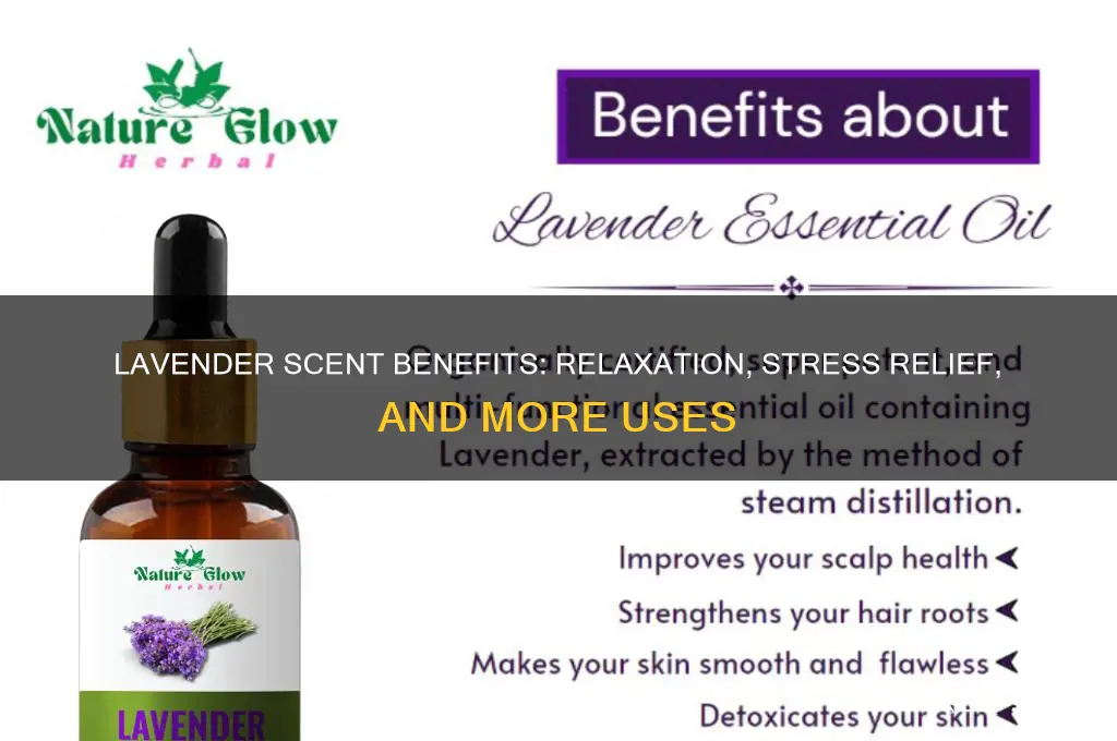what is lavender scent good for