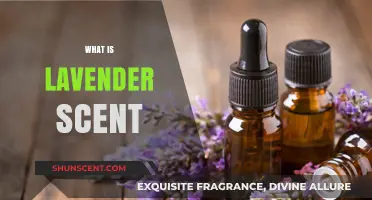 Discover the Soothing and Aromatic World of Lavender Scent
