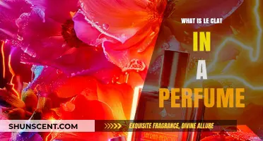 The Heart of a Perfume: Le Clat Explained