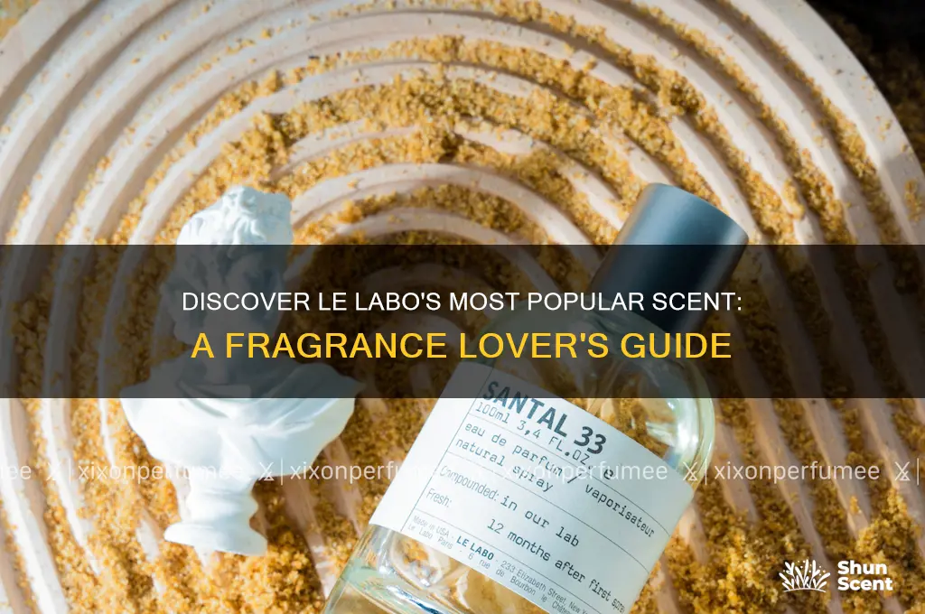 what is le labo most popular scent