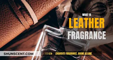 Leather Fragrance: Exploring the Scent of Luxury