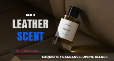 Unveiling the Rich, Timeless Aroma: Understanding the Leather Scent