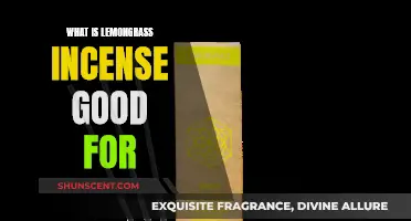 Lemongrass Incense: Benefits and Uses for a Calm Mind