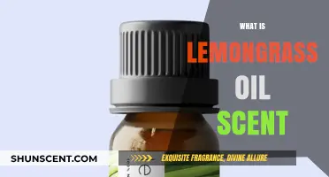 Discover the Fresh, Citrusy Aroma of Lemongrass Essential Oil