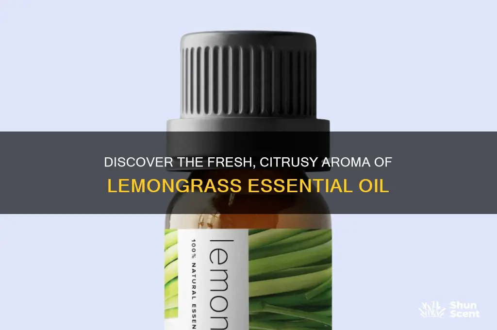 what is lemongrass oil scent