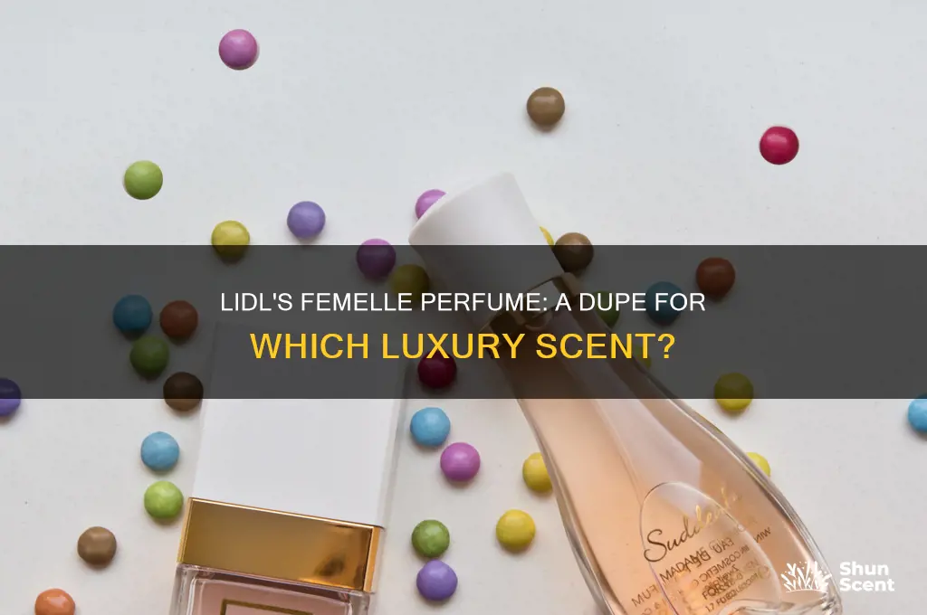 what is lidl femelle perfume a dupe of