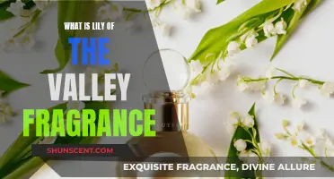 The Sweet Scent of Lily-of-the-Valley: A Fragrance Guide