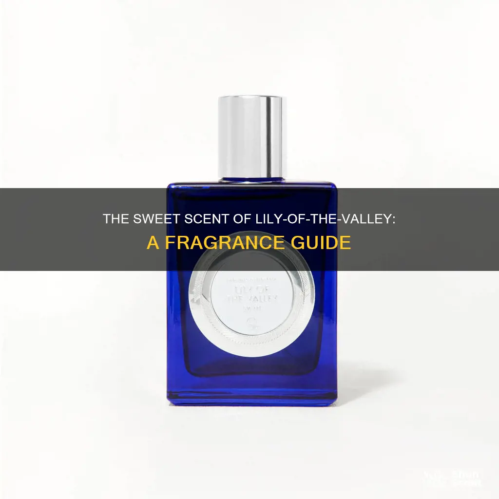 what is lily of the valley fragrance